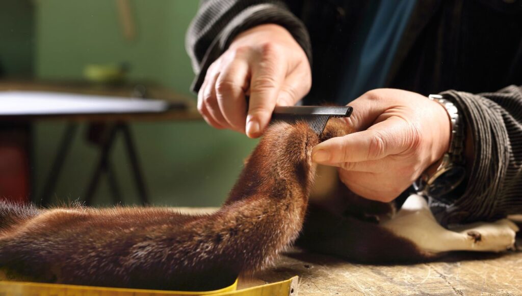 reparation af rens af mink pels